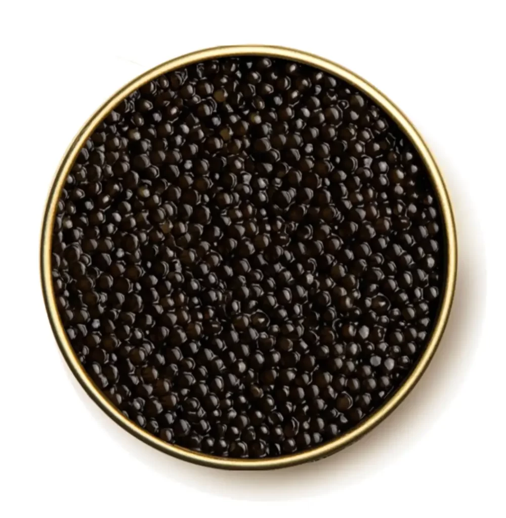 baeri hermanitto caviar