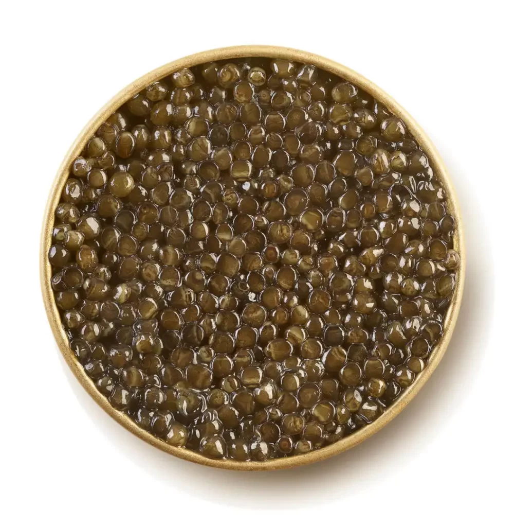 beluga hermanitto caviar